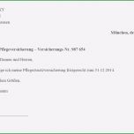 Großartig Der Große Ratgeber Zur Pflegeversicherung Experte24