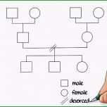 Großartig E Costruire Un Genogramma 14 Passaggi Illustrato