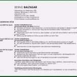 Großartig Einfacher Lebenslauf Vorlage Word Angenehm [einfacher