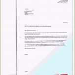 Großartig Einzigartiges Angebot Schreiben Vorlage