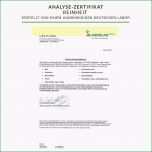 Großartig Fax Deckblatt Deckblatt Praktikumsbericht Vorlage Word