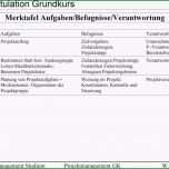 Großartig Fein Projekt Machbarkeitsanalyse Vorlage Bilder Entry