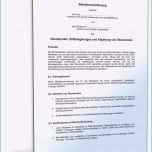 Großartig Freistellung Schule Vorlage