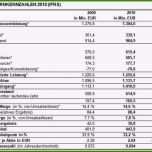 Großartig Gewinn Und Verlustrechnung Vorlage Papacfo