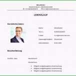 Großartig Grafischer Lebenslauf Vorlage