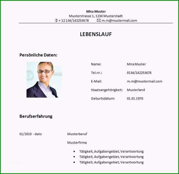 grafischer lebenslauf vorlage