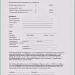 Großartig Hundesportverein Obhausen Dezember 2013