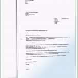 Großartig K Ndigung Der Kfz Versicherung Muster Vorlage Zum Download