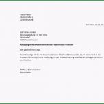 Großartig Kundigung Probezeit Vorlage Papacfo