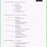 Großartig Lebenslauf Praktikum Vorlage Neues Unglaubliche Bewerbung