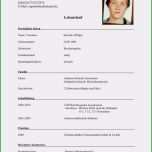 Großartig Lebenslauf Schülerpraktikum Vorlage Gut 17 Schüler