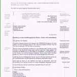 Großartig Lebenslauf Vorlage Ideen Part 24