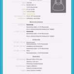 Großartig Lebenslauf Vorlage Xing Angenehm Bewerbung Line Schreiben