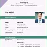 Großartig Lebenslauf Vorlage Zum Download