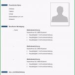 Großartig Lebenslauf Vorlagen Muster Kostenlose Word Vorlage