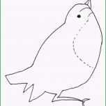 Großartig Malvorlage Vogel Oder Spatz Zum Nachmachen