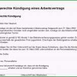 Großartig Mietkündigung Vorlage