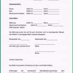 Großartig Mietvertrag Wohnung Kostenlos Vorlage