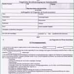 Großartig Stundungsantrag Muster