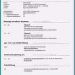 Großartig Tabellarischer Lebenslauf Tipps Und Praktische Beispiele