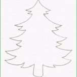 Großartig Tannenbaum Vorlage Selbstgemacht