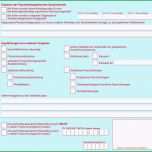 Großartig Techniker Krankenkasse Rechnung Einreichen formular