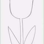 Großartig Vorlagen Blumen Basteln Cool Blumen Zum Basteln