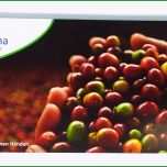 Großartig Werbeflyer Online Drucken