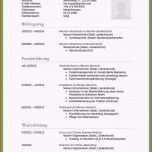 Hervorragen 10 Lebenslauf Vorlagen 2014