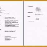 Hervorragen 11 Lebenslauf Ausbildung Vorlage Word