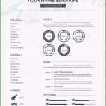 Hervorragen 15 Biographie Vorlage