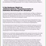 Hervorragen 15 Pflegedokumentation Vorlage