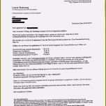 Hervorragen 16 Mahnung Mit Inkasso androhung Muster