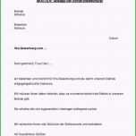 Hervorragen 17 Absage Bewerbung Vorlage Under Water Tiger