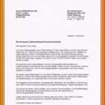 Hervorragen 18 Bewerbung sozialpraktikum Muster