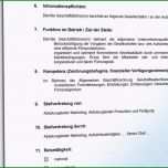 Hervorragen 19 Stellenbeschreibung Muster Kostenlos Word