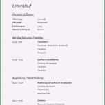 Hervorragen 20 Openoffice Vorlage Lebenslauf