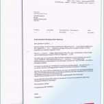 Hervorragen 20 Vorlage Kündigung Mietvertrag Wohnung