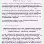 Hervorragen 32 Wunderbar Vorlage Empfehlungsschreiben Tagesmutter