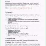 Hervorragen 8 Marketingkonzept Muster