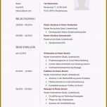 Hervorragen 9 Lebenslauf Erzieherin Muster 2013