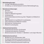 Hervorragen asa Sitzung Protokoll Vorlage Fabelhaft tolle
