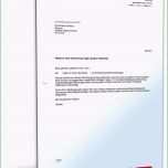 Hervorragen Auditbericht Vorlage Kostenlos Inspiration Widerruf Wegen