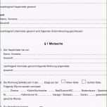 Hervorragen Betriebskostenabrechnung Vorlage Excel Kostenlos