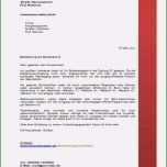 Hervorragen Bewerbung Reinigungskraft Vorlage Kostenlos Elegant 8