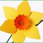Hervorragen Blumen Basteln Narzissen Basteln Diy Pdf