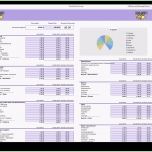 Hervorragen Bud Planung Excel Vorlage – Kundenbefragung Fragebogen