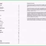 Hervorragen Businessplan Vorlage Schweiz Word Kostenloser Download