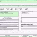 Hervorragen Die Erstaunliche Projektsteckbrief Vorlage