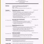 Hervorragen Die Fabelhaften Projektbeschreibung Vorlage